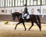 dressage horse Rockstar Energy B (Westphalian, 2012, from Rohjuwel OLD)