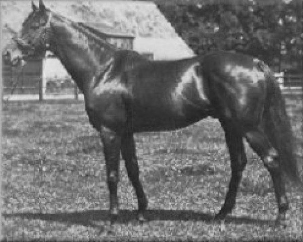 stallion Fairway xx (Thoroughbred, 1925, from Phalaris xx)