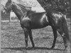 stallion Fairway xx (Thoroughbred, 1925, from Phalaris xx)