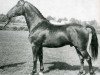 horse Farnese (Holsteiner, 1960, from Faehnrich)