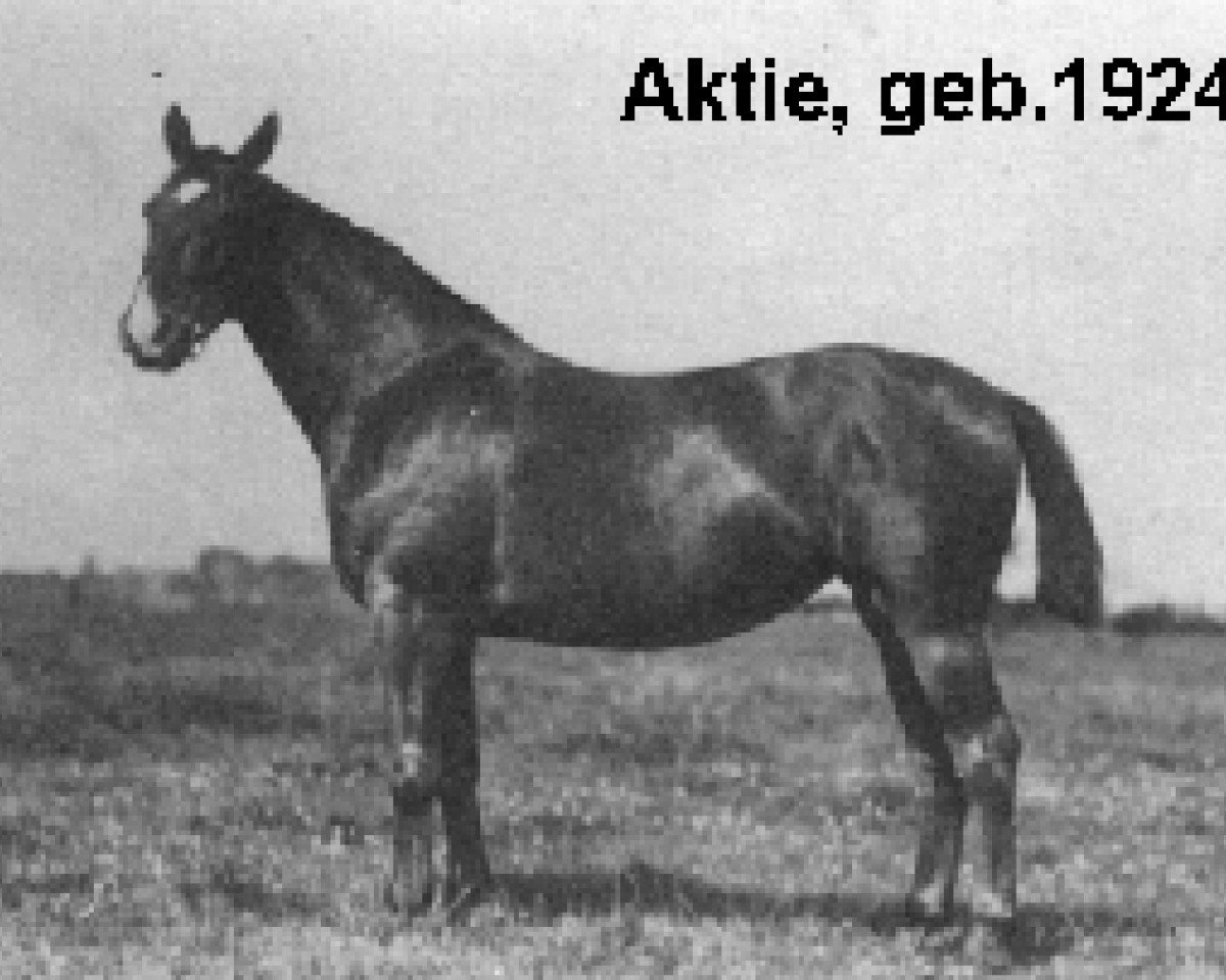 broodmare Aktie (Holsteiner, 1924, from Elegant 2421)