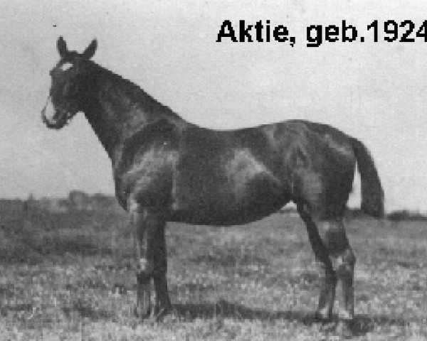 Zuchtstute Aktie (Holsteiner, 1924, von Elegant)