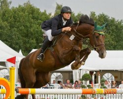 broodmare Dutch-Lady (Rhinelander, 2004, from Dutch Capitol)