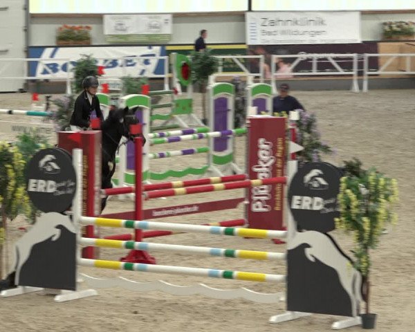 Reitturnier Borken 2022