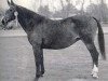 horse Deka (Holsteiner, 1967, from Consul)