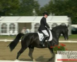 dressage horse Don Lauriello der Nürnberger (Oldenburg, 2006, from Lauries As)