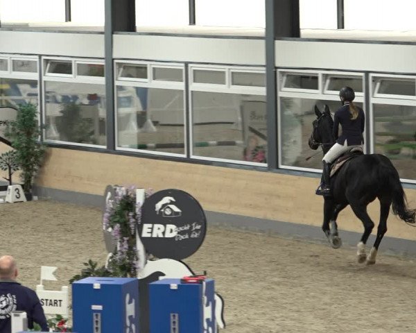 Reitturnier Borken 2022