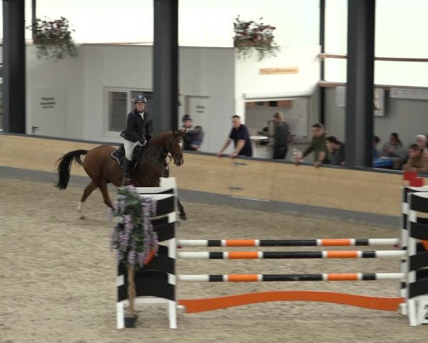 Reitturnier Borken 2022