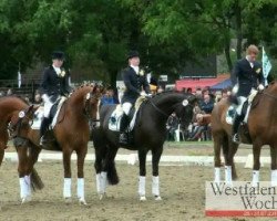 dressage horse De Ninjo (Hanoverian, 1999, from De Niro)