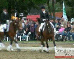 dressage horse Dream of Spring (Westphalian, 2006, from Dream On)