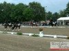 dressage horse Bijou 367 (Westphalian, 2004, from Belissimo NRW)