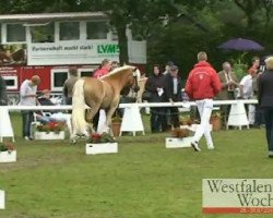 dressage horse Sayuri (Westphalian, 2008)