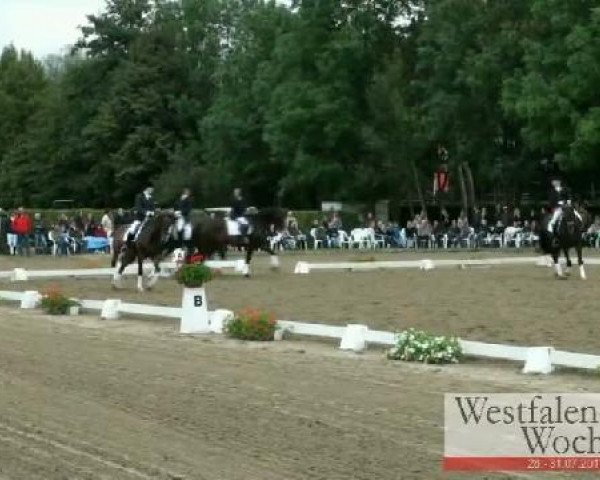 dressage horse Rabalder (Westphalian, 2002, from Rockwell)