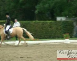 dressage horse Dornröschen (German Riding Pony, 2008, from FS Don't Worry)