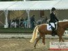 dressage horse Thalia 50 (German Riding Pony, 2008, from Timberland)