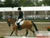 broodmare Darling Deleila AT (German Riding Pony, 2008, from Dance Star AT)