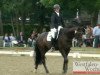 dressage horse Revanche As (Westphalian, 2008, from Riccione)