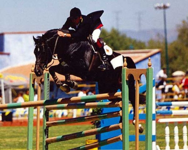 stallion Gratino la Silla (Oldenburg, 1992, from Grannus)