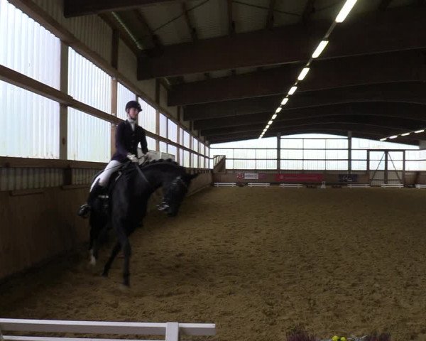 Reitturnier Werdohl-Rentrop 2022