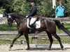 dressage horse Werom (Westphalian, 2003, from Westlite)