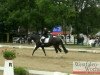 dressage horse Diamond Rose (Hanoverian, 2004, from Diamond Hit)