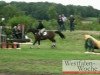 jumper Valmalou (Holsteiner, 2005, from Jayadeva de Mackinac AA)