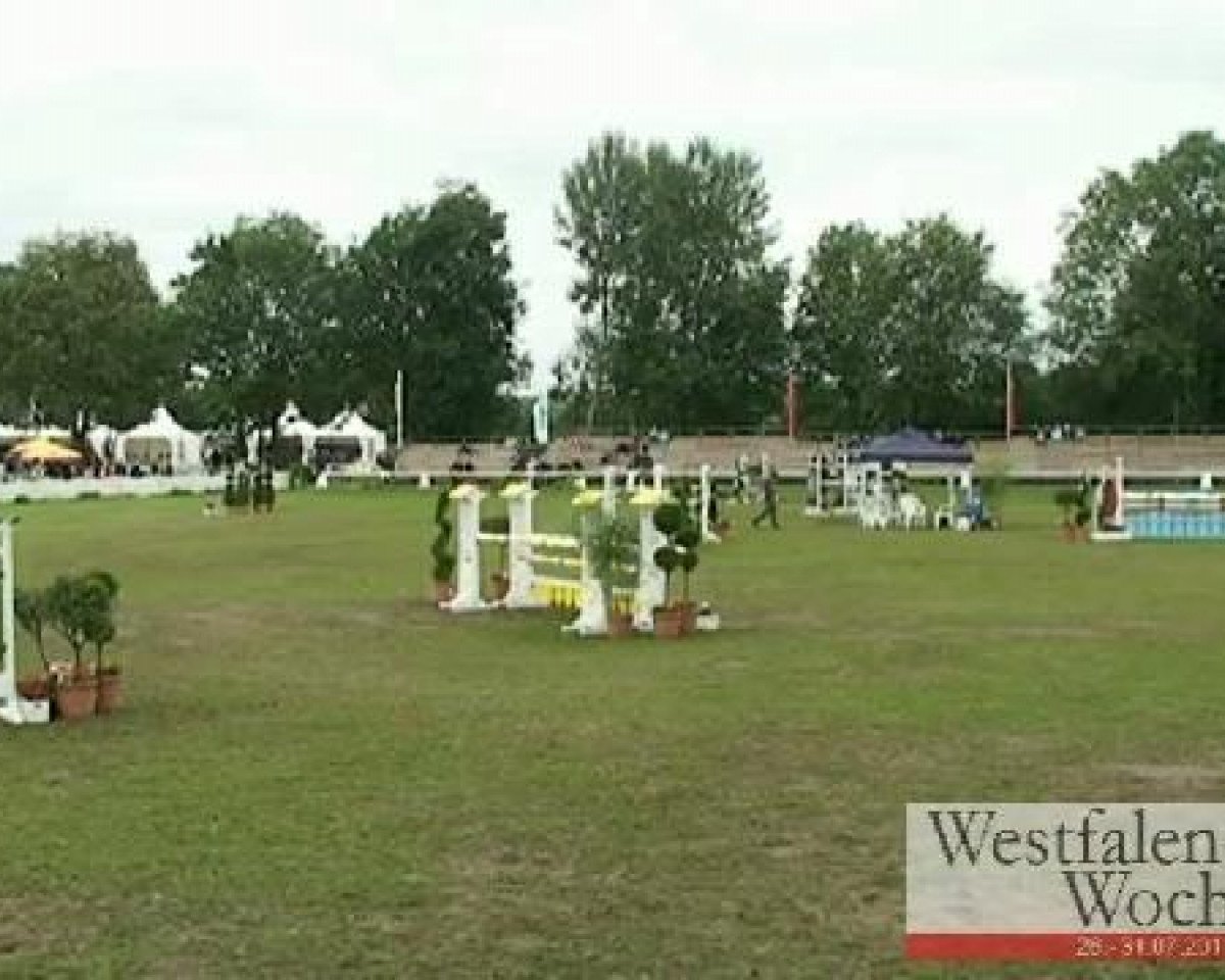 broodmare Carina S (Westphalian, 2005, from Top Karetino)