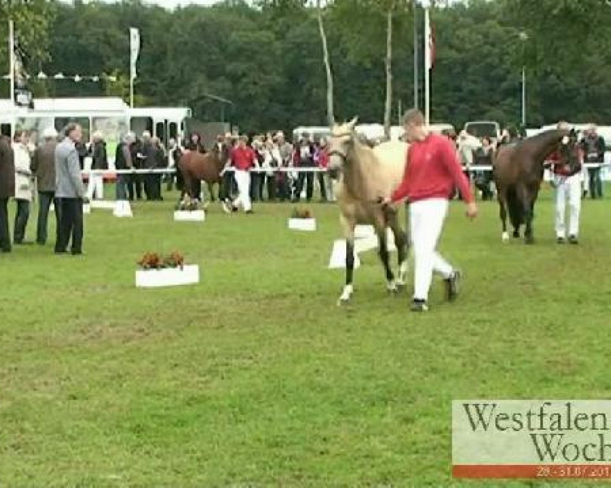 broodmare Vanilla (German Riding Pony, 2008, from Vincent)