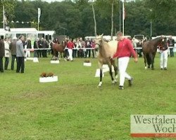 broodmare Vanilla (German Riding Pony, 2008, from Vincent)