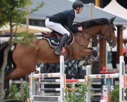 jumper Adorado's Chino (Hanoverian, 2014, from Adorado)