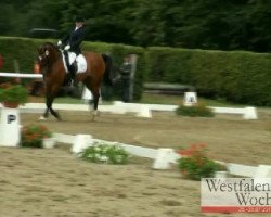 dressage horse Redstone (Hessian Warmblood, 1997, from Rebel Z III)