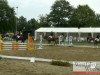 dressage horse Loxley's Girl F (Westphalian, 2006, from Lord Loxley I)