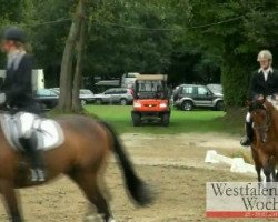 dressage horse Fürst Bernhard (Westphalian, 2006, from Floresco NRW)