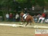 dressage horse Vigo H (German Riding Pony, 2005, from Vivaldi)