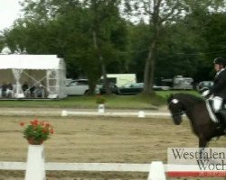 dressage horse Prinz Pontus WE (German Riding Pony, 2005, from Pilgrim’s Red)