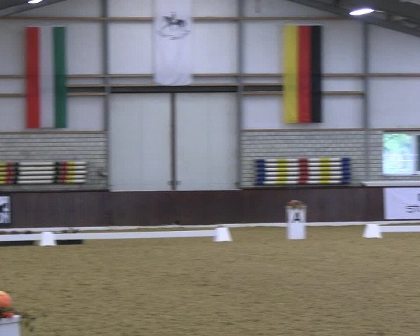 Reitturnier Kirchhellen 2022
