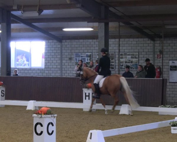 Reitturnier Kirchhellen 2022