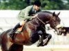 stallion Gio-Granno (Oldenburg, 1990, from Grannus)
