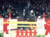 stallion Kupido K (Dutch Warmblood, 1992, from Grannus)