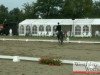 dressage horse Shiwago 4 (Westphalian, 2006, from Sir Donnerhall I)