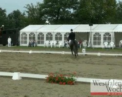 dressage horse Shiwago 4 (Westphalian, 2006, from Sir Donnerhall I)