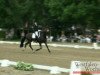 dressage horse Ravalon K (Westphalian, 2006, from Rooney)