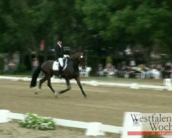 dressage horse Ravalon K (Westphalian, 2006, from Rooney)