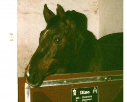 stallion Dino 3427 (Thuringia, 1979, from Disponent 3310)