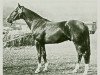 stallion Dispatcher (Mecklenburg, 1973, from Disponent)