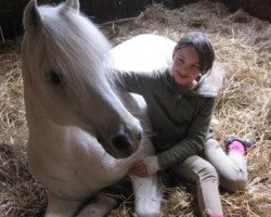 horse Tannenhof's Galvin (Welsh-Pony (Section B), 1989, from Seaholm Gigolo)