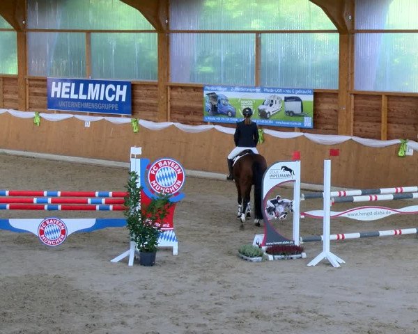 Reitturnier Xanten - Reitanlage Miss 2022
