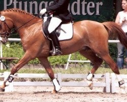 dressage horse Se.M. Don Giovanni (Deutsches Reitpony, 2002, from FS Don't Worry)