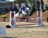 dressage horse Schierensees Make My Day (German Riding Pony, 2009, from Micky Blue Eye)