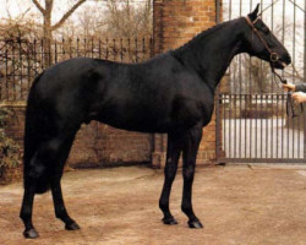 stallion Akitos xx (Thoroughbred, 1981, from Green Dancer xx)